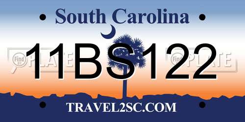 11BS122 South Carolina License Plate