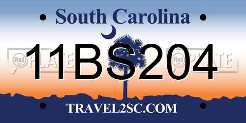 11BS204 South Carolina License Plate