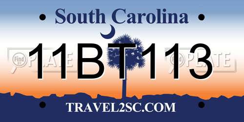 11BT113 South Carolina License Plate