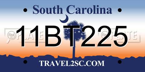 11BT225 South Carolina License Plate