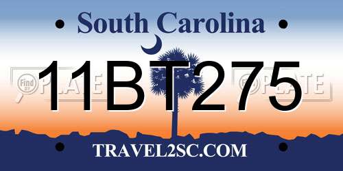 11BT275 South Carolina License Plate