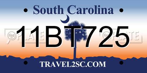 11BT725 South Carolina License Plate