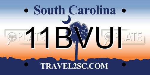 11BVUI South Carolina License Plate