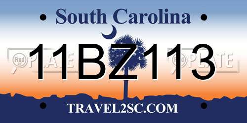 11BZ113 South Carolina License Plate