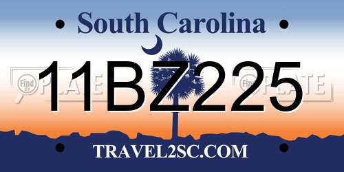 11BZ225 South Carolina License Plate