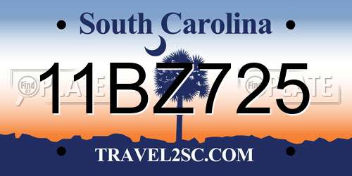 11BZ725 South Carolina License Plate