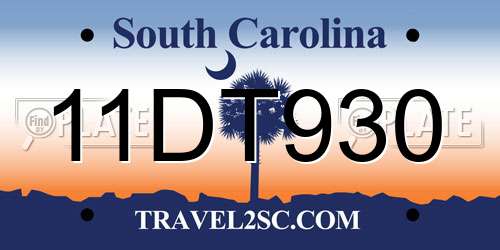 11DT930 South Carolina License Plate