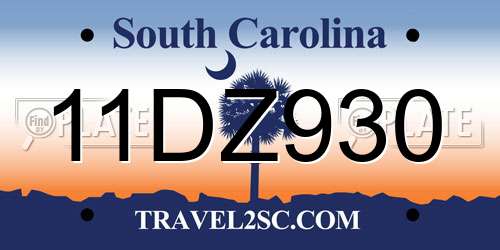 11DZ930 South Carolina License Plate