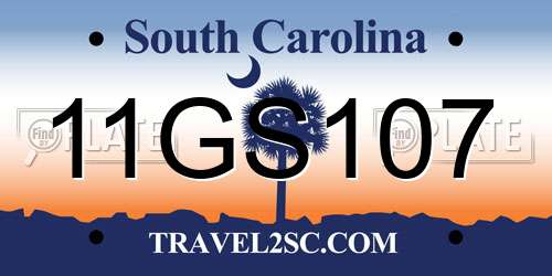 11GS107 South Carolina License Plate