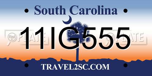 11IG555 South Carolina License Plate