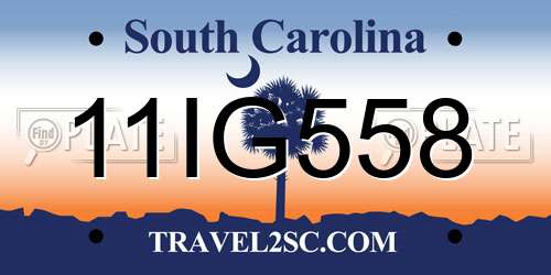 11IG558 South Carolina License Plate