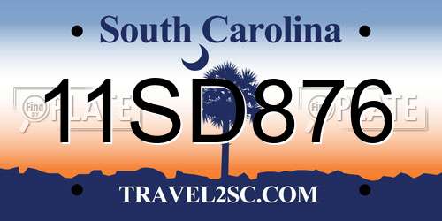 11SD876 South Carolina License Plate
