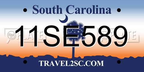 11SE589 South Carolina License Plate
