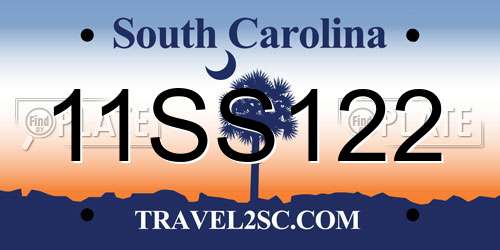 11SS122 South Carolina License Plate