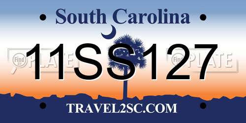 11SS127 South Carolina License Plate