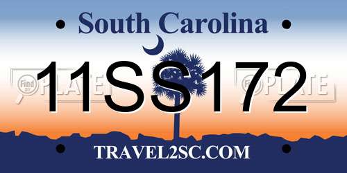 11SS172 South Carolina License Plate