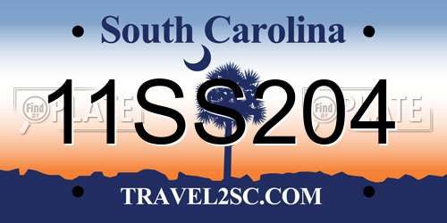 11SS204 South Carolina License Plate