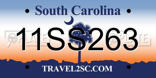 11SS263 South Carolina License Plate