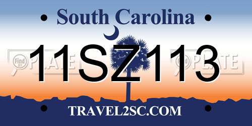 11SZ113 South Carolina License Plate