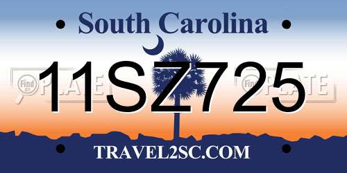 11SZ725 South Carolina License Plate