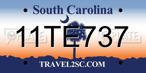 11TE737 South Carolina License Plate