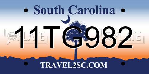 11TG982 South Carolina License Plate