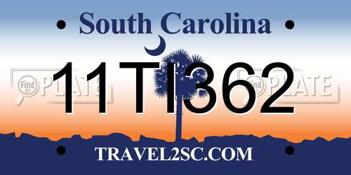 11TI362 South Carolina License Plate