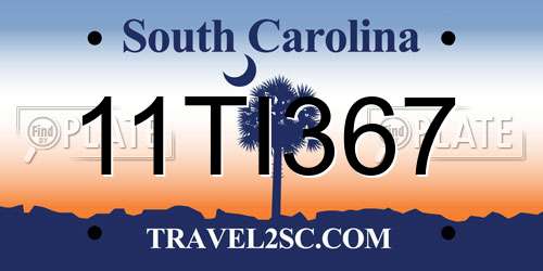 11TI367 South Carolina License Plate