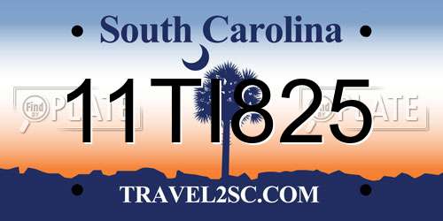 11TI825 South Carolina License Plate