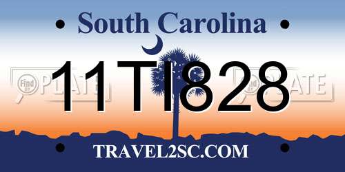 11TI828 South Carolina License Plate