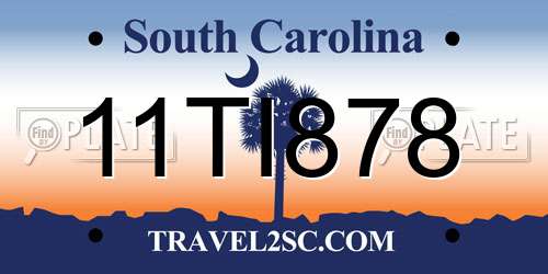11TI878 South Carolina License Plate