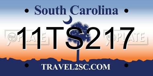 11TS217 South Carolina License Plate