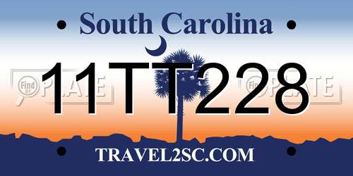 11TT228 South Carolina License Plate