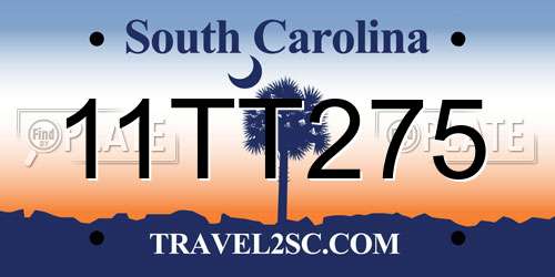 11TT275 South Carolina License Plate