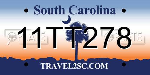 11TT278 South Carolina License Plate