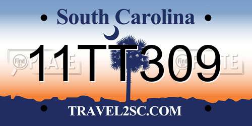 11TT309 South Carolina License Plate