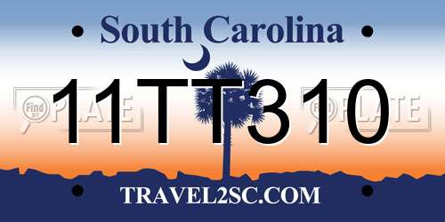 11TT310 South Carolina License Plate