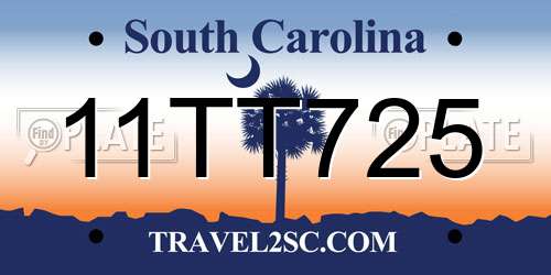 11TT725 South Carolina License Plate