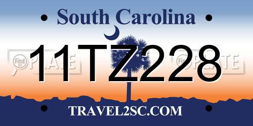 11TZ228 South Carolina License Plate