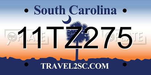 11TZ275 South Carolina License Plate