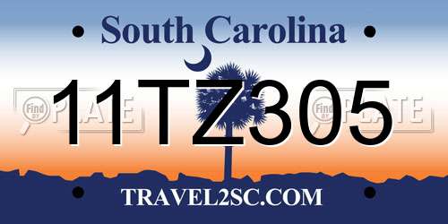 11TZ305 South Carolina License Plate
