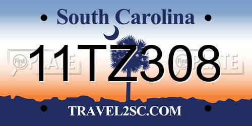 11TZ308 South Carolina License Plate