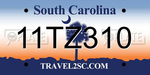 11TZ310 South Carolina License Plate