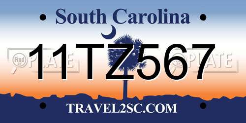 11TZ567 South Carolina License Plate