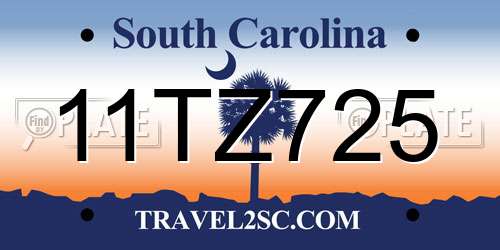 11TZ725 South Carolina License Plate