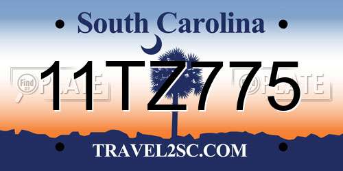 11TZ775 South Carolina License Plate