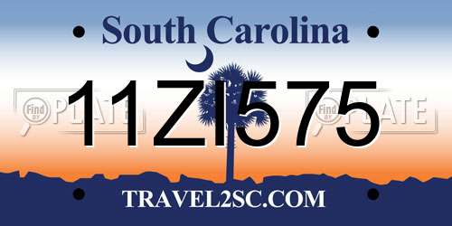 11ZI575 South Carolina License Plate