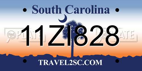 11ZI828 South Carolina License Plate