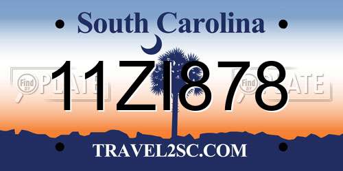 11ZI878 South Carolina License Plate