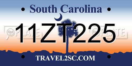 11ZT225 South Carolina License Plate